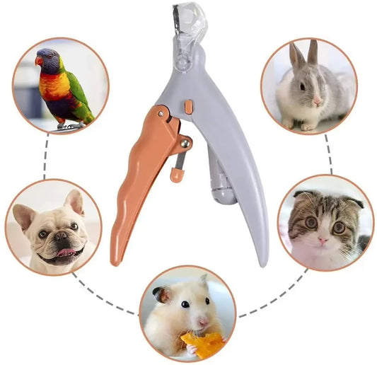 Coupe-ongles double face pour animaux de compagnie, lumière LED, pour chats et chiens, grossissement 5x, outil de coupe des ongles facile pour vos amis en fourrure