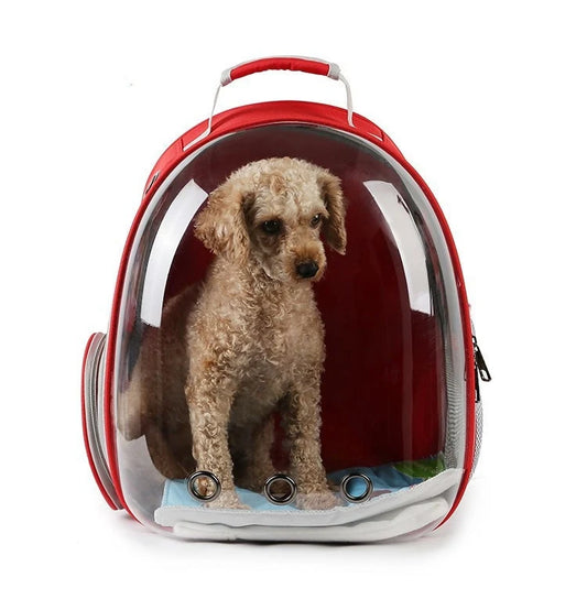 Capsule bulle sac à dos pour animaux de compagnie petit chat transporteur pour animaux de compagnie sac à dos Transparent Animal chiot Kitty oiseau respirant porte-animaux pour voyage
