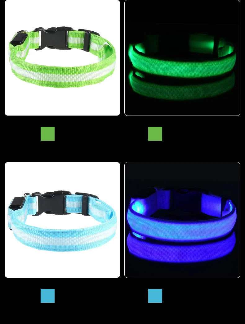 Laisse LED clignotante en nylon pour chien, sécurité nocturne, lueur dans le noir, collier de chien de compagnie structurels ent Shoous