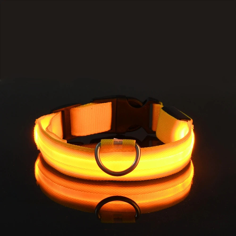 Laisse LED clignotante en nylon pour chien, sécurité nocturne, lueur dans le noir, collier de chien de compagnie structurels ent Shoous