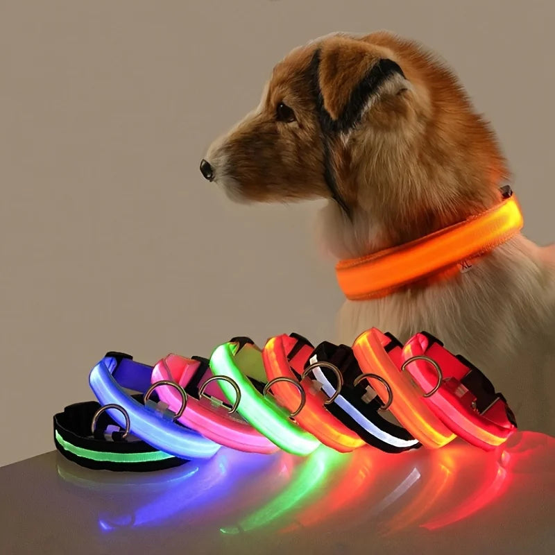 Laisse LED clignotante en nylon pour chien, sécurité nocturne, lueur dans le noir, collier de chien de compagnie structurels ent Shoous