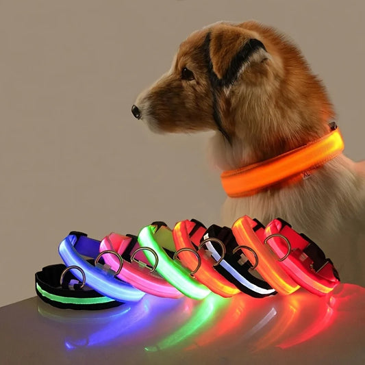 Laisse LED clignotante en nylon pour chien, sécurité nocturne, lueur dans le noir, collier de chien de compagnie structurels ent Shoous
