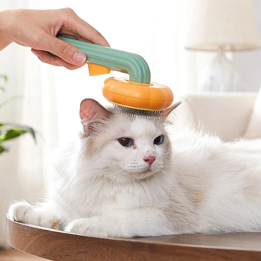 Brosse pour animaux de compagnie citrouille, brosses auto-nettoyantes pour perdre du peigne de toilettage pour chiens et chats, élimine les sous-couches amples et les poils emmêlés