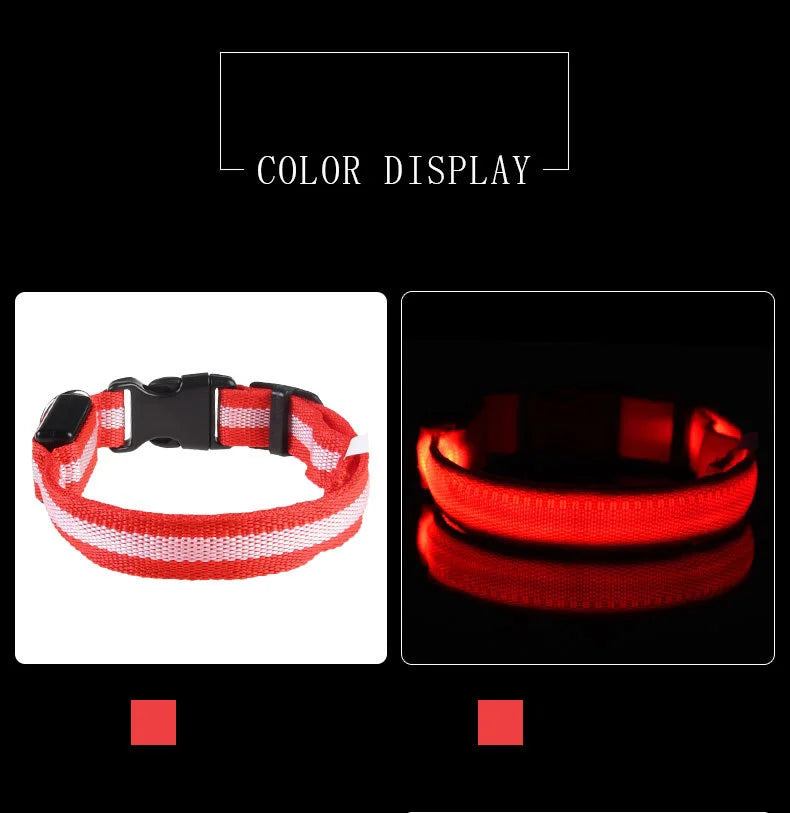 Laisse LED clignotante en nylon pour chien, sécurité nocturne, lueur dans le noir, collier de chien de compagnie structurels ent Shoous